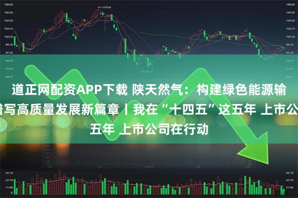 道正网配资APP下载 陕天然气：构建绿色能源输配网络 谱写高质量发展新篇章丨我在“十四五”这五年 上市公司在行动